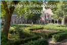 Hofje van nieuwkoop 5-9-2024